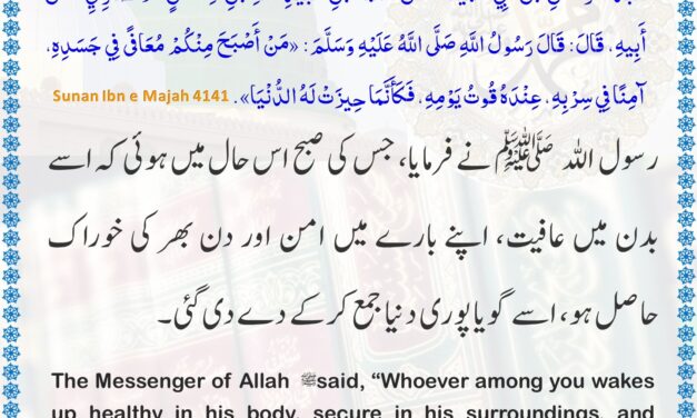 Sunan Ibn Majah – 4141