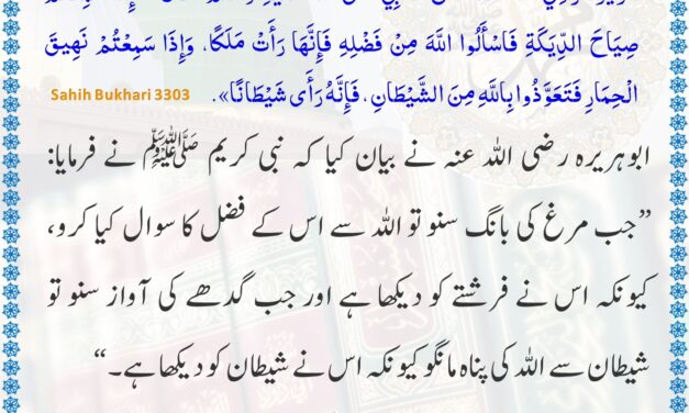 Sahih Bukhari – 3303