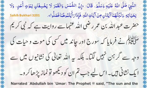 Sahih Bukhari – 3201