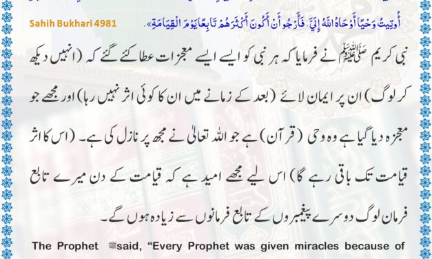 Sahih Bukhari – 4981
