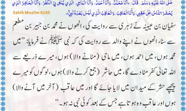 Sahih Muslim – 6105