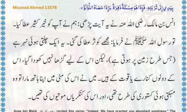 Musnad Ahmad – 13578
