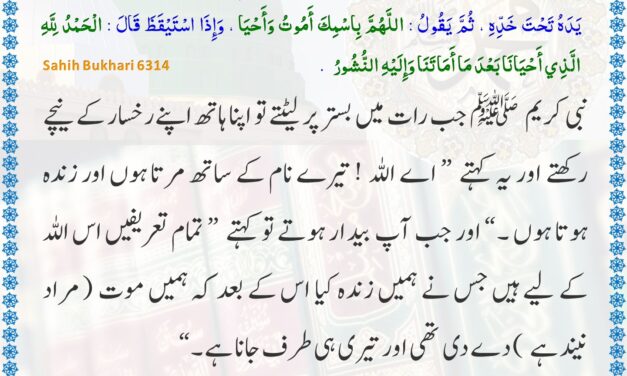 Sahih Bukhari – 6314