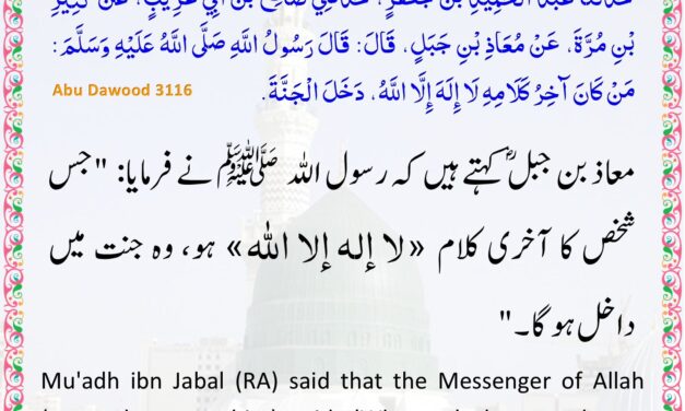 Sunan Abu Dawood – 3116
