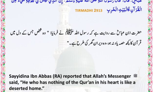 Jamia Tirmizi – 2913