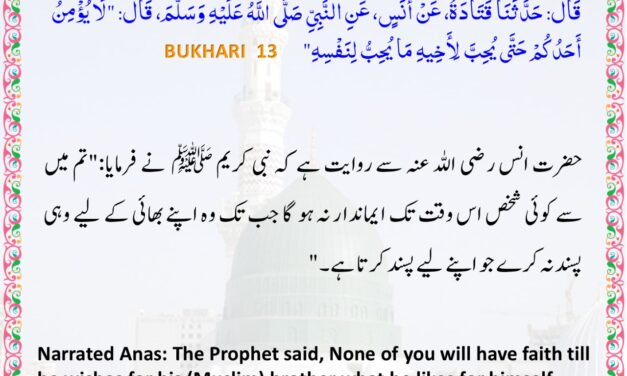 Sahih Bukhari – 13
