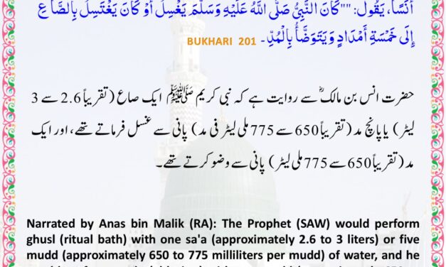 Sahih Bukhari – 201