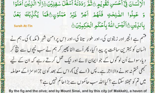 Surah At-Tin – Ayah 1-8