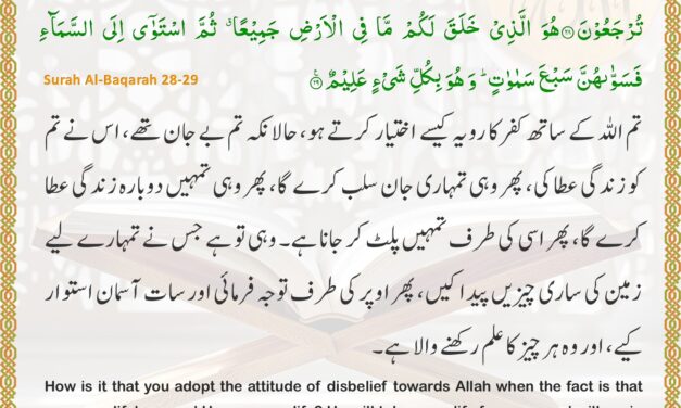 Surah Al-Baqarah – Ayah 28-29