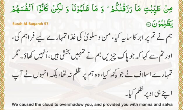 Surah Al-Baqarah – Ayah 57