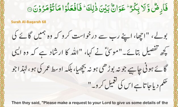 Surah Al-Baqarah – Ayah 68