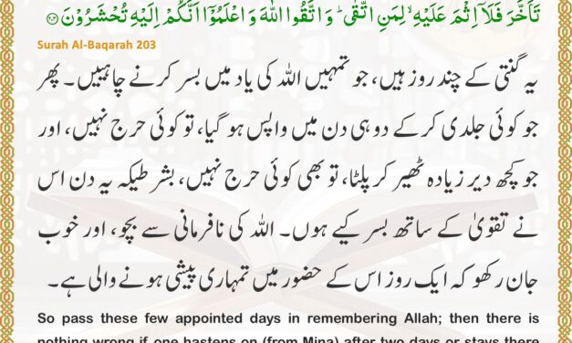 Surah Al-Baqarah – Ayah 203