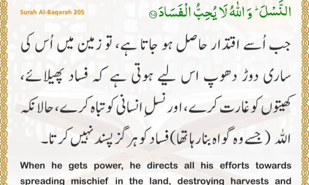 Surah Al-Baqarah – Ayah 205