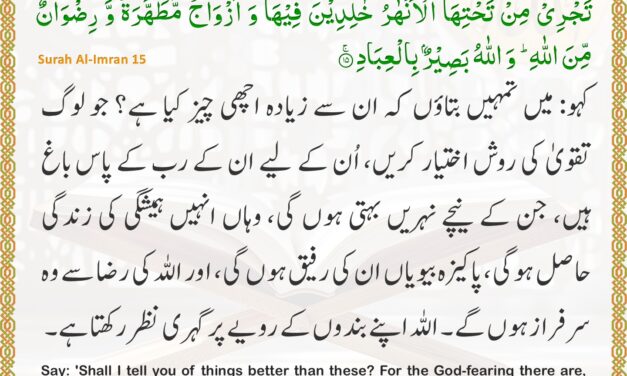 Surah Al-Imran – Ayah 15