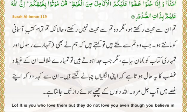 Surah Al-Imran – Ayah 119
