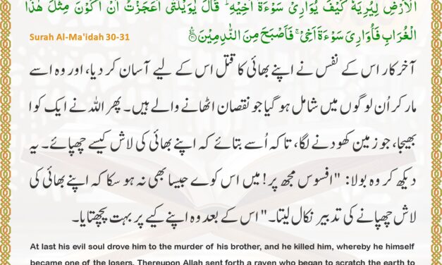Surah Al-Ma’idah – Ayah 30-31