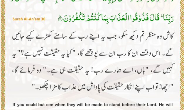 Surah Al-An’am – Ayah 30