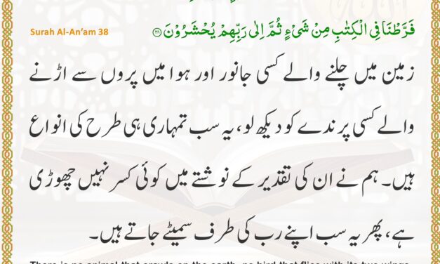 Surah Al-An’am – Ayah 38