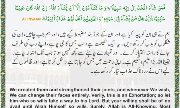 Surah Al-Insan – Ayah 28-31