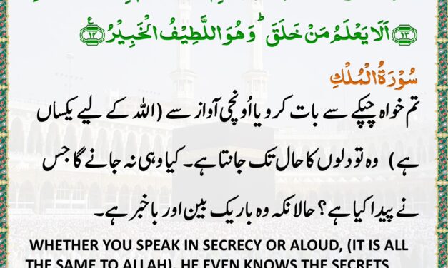 Surah Al-Mulk – Ayah 13-14