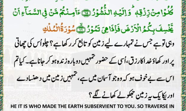 Surah Al-Mulk – Ayah 15-16