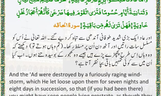 Surah Al-Haqqah – Ayah 6-8