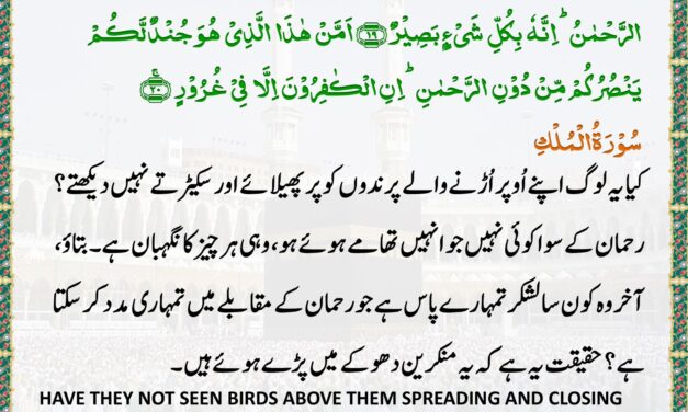 Surah Al-Mulk – Ayah 19-20
