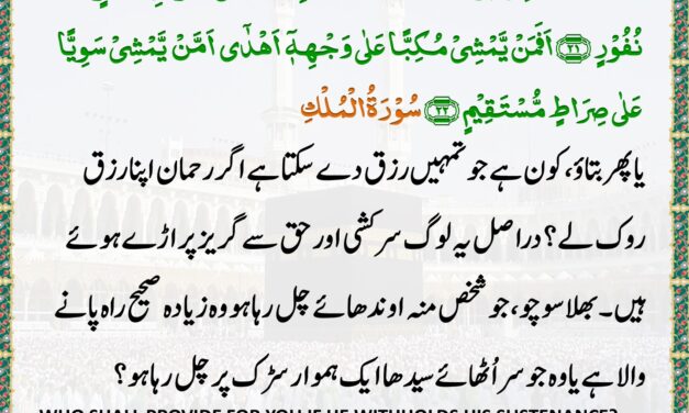 Surah Al-Mulk – Ayah 21-22