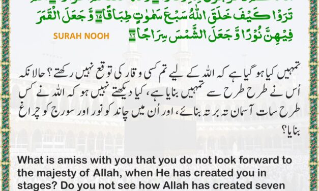 Surah Nuh – Ayah 13-16