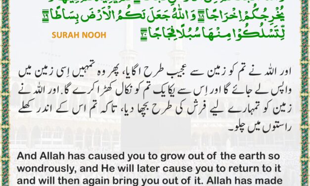 Surah Nuh – Ayah 17-20