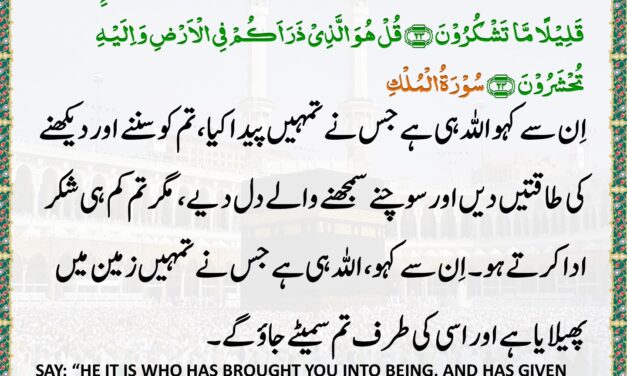 Surah Al-Mulk – Ayah 23-24